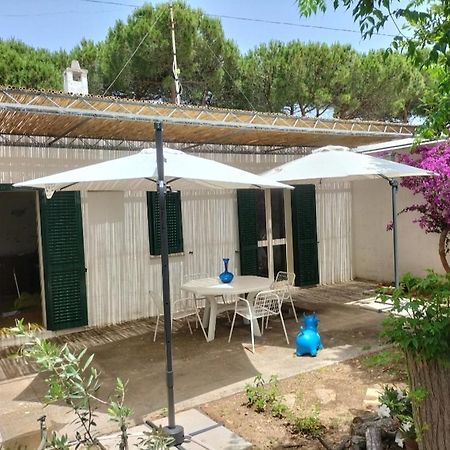 הוילה קונקה ספקיולה Casa Azzurra מראה חיצוני תמונה