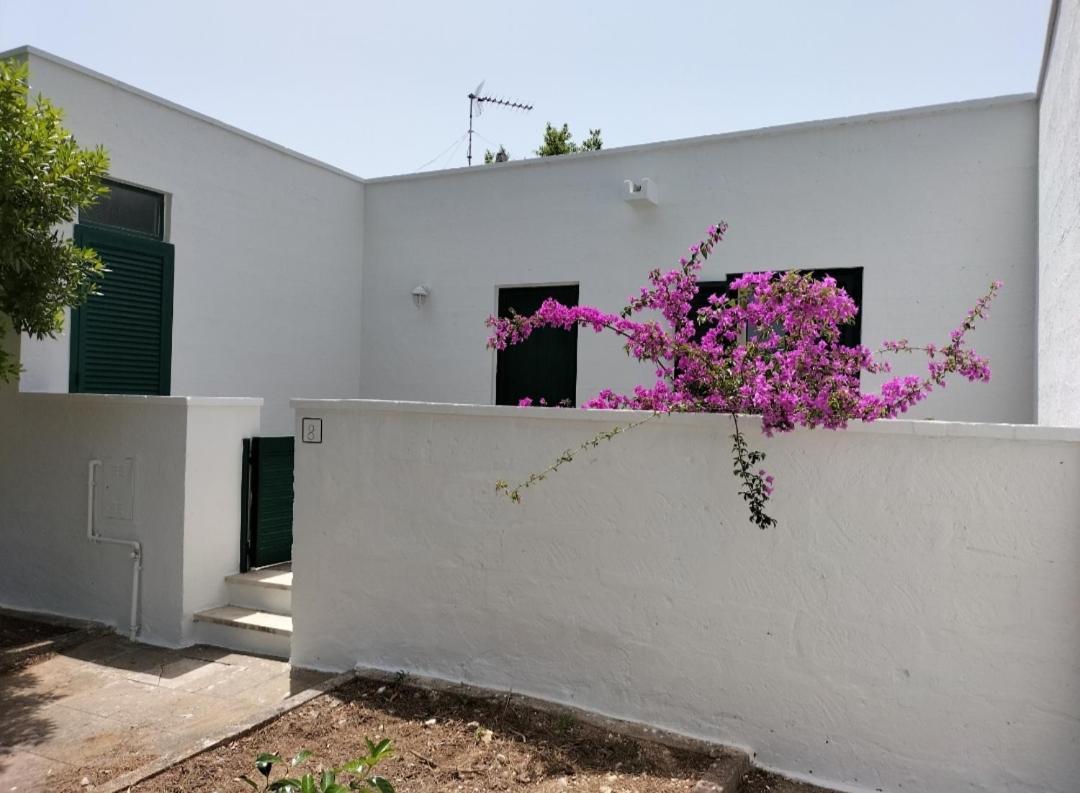 הוילה קונקה ספקיולה Casa Azzurra מראה חיצוני תמונה