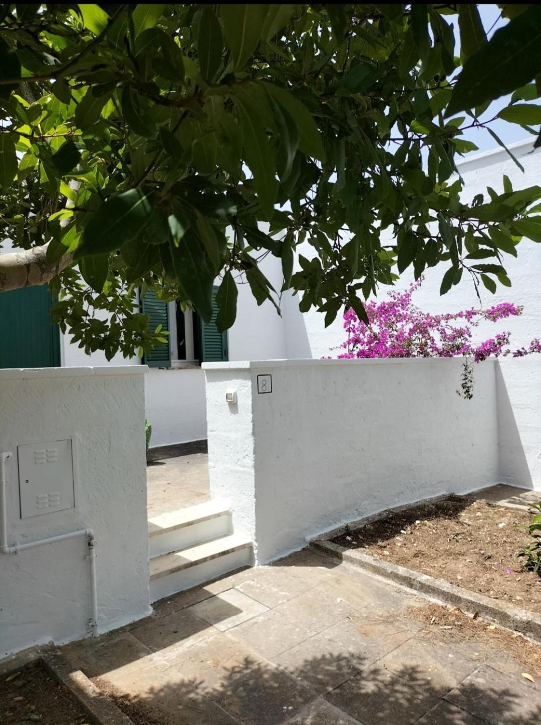 הוילה קונקה ספקיולה Casa Azzurra מראה חיצוני תמונה