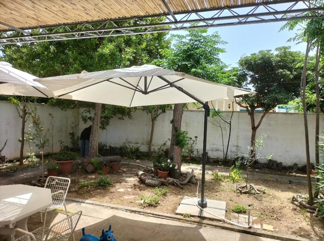הוילה קונקה ספקיולה Casa Azzurra מראה חיצוני תמונה
